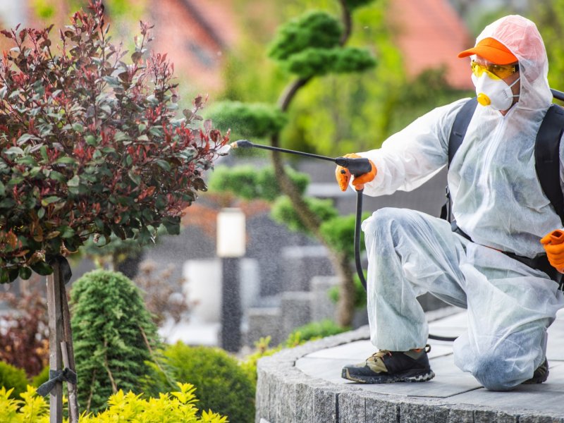 Ortaca Haşere İlaçlama